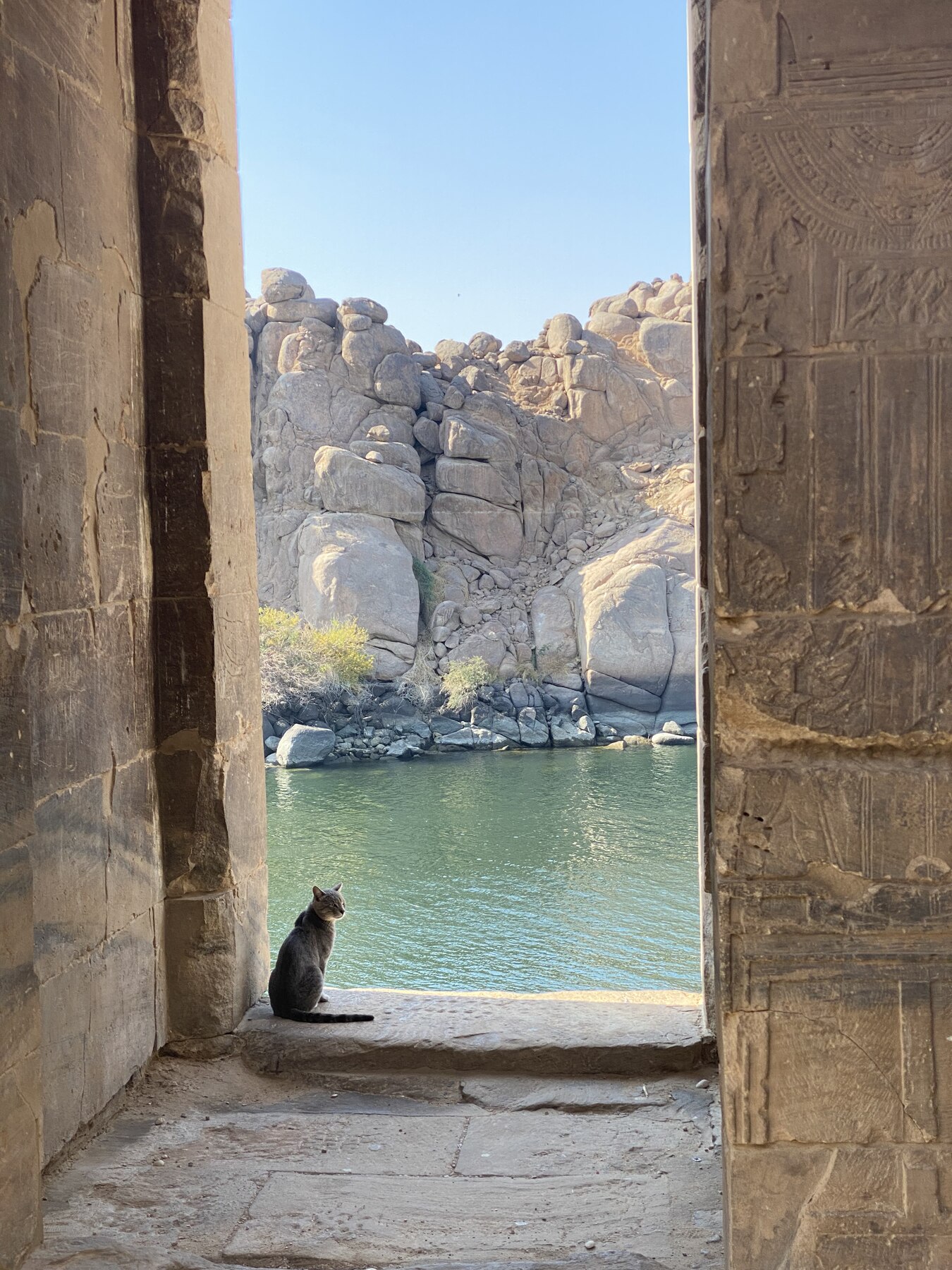 Egypt set cover